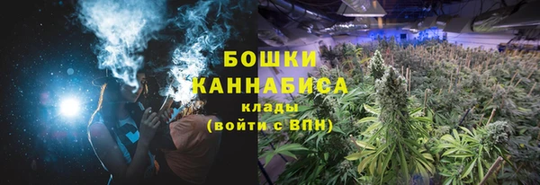 стаф Нея