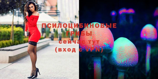 стаф Нея
