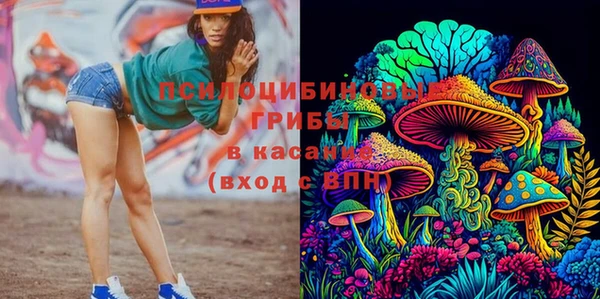 прущие крисы Нефтегорск