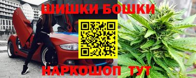 гашик Будённовск