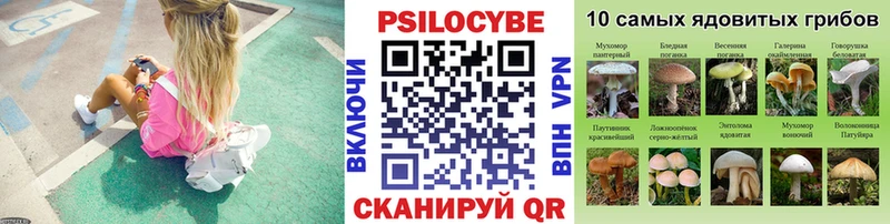 kraken маркетплейс Череповец Псилоцибиновые грибы Psilocybe