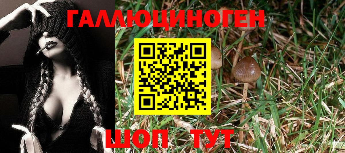 Альфа ПВП СОЛЬ кристаллы  НБОМе  Cocaine  Меф МЯУ МЯУ   Череповец  Марихуана  ГАШИШ  Кодеин  Вход с VPN 